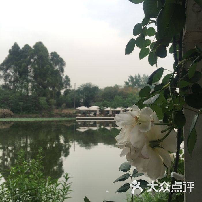 百花深处-图片-成都美食-大众点评网