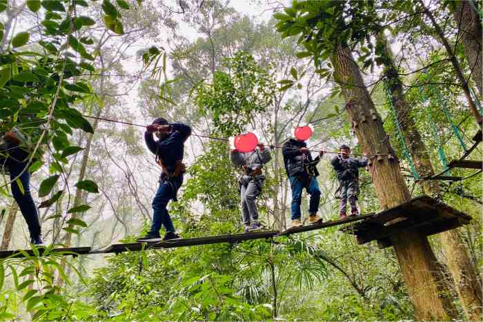 重庆飞越丛林探险乐园(歌乐山园区)-"歌乐山飞跃丛林