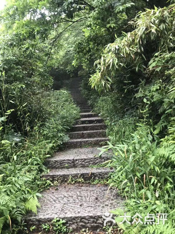 碧岩景区-图片-长兴县周边游-大众点评网