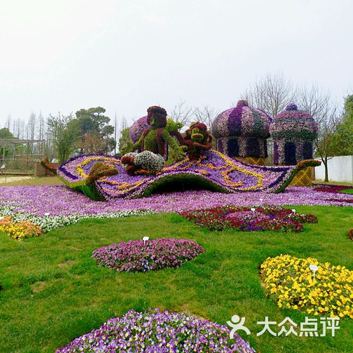 上海植物园图片 第2张