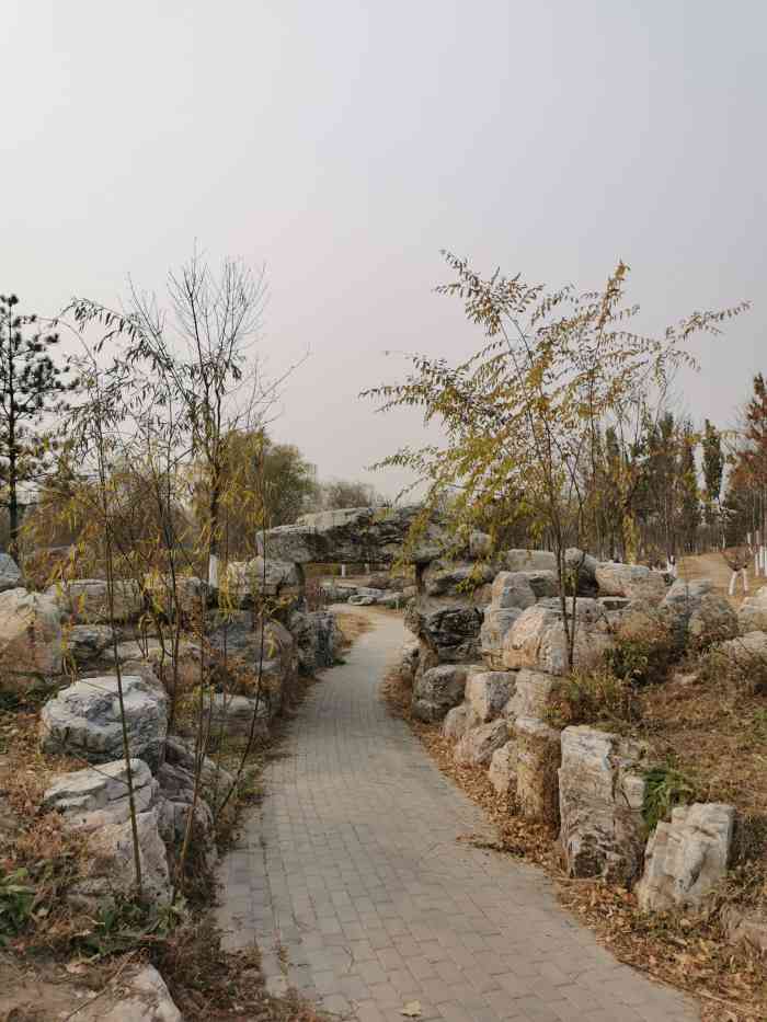 刘庄公园-"刘庄公园是一个长条形公园由东到西足有2公.