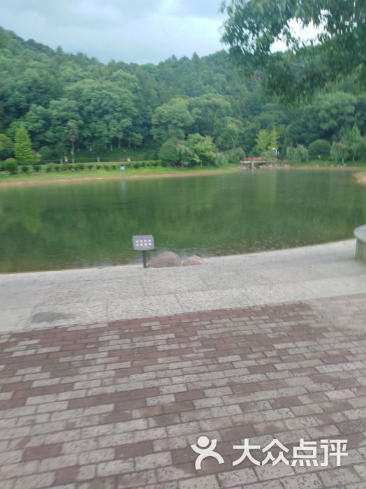 秀峰山公园图片 - 第10张