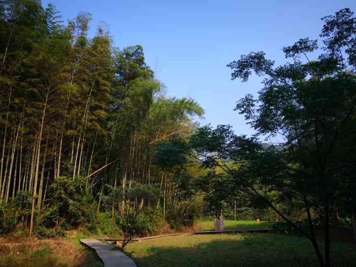 宁波浙东大竹海景区