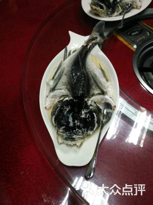 清泉鱼