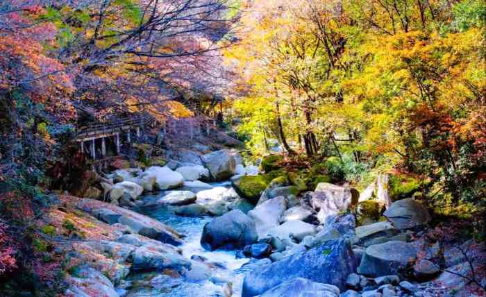 光雾山旅游景区-"光雾山位于四川省巴中市南江县北部