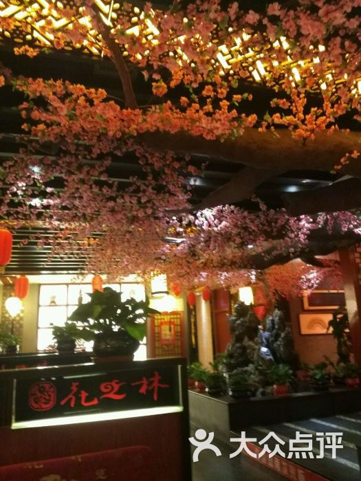 花之林人文茶餐厅红十月店(清真)图片 第77张