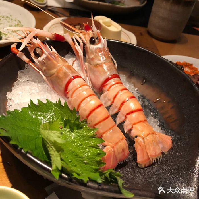 新西兰南极鳌虾