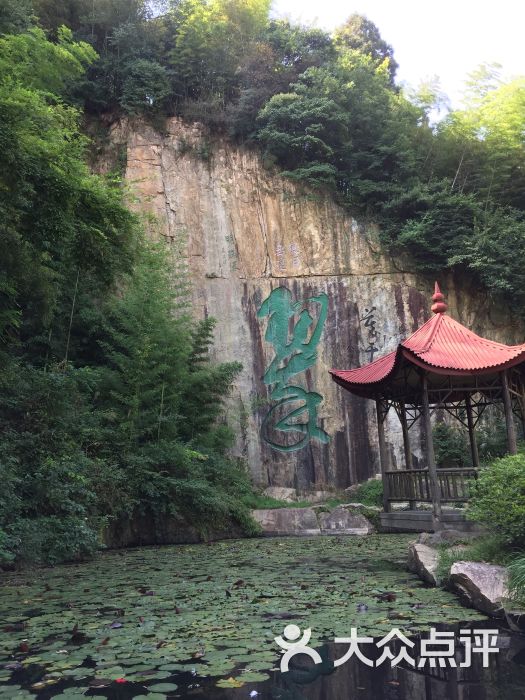 莫干山风景区图片 - 第23张