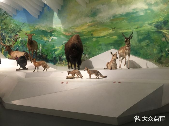 重庆自然博物馆(新馆)图片 第21张