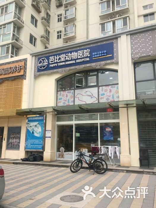 芭比堂动物医院(北京朝阳北路分院)-图片-北京