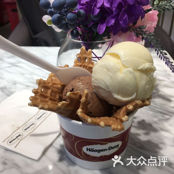 哈根达斯原味牛乳和比利时巧克力图片-北京冰淇淋-大众点评网