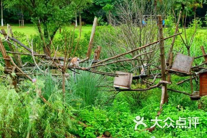 红山森林动物园图片 - 第6张