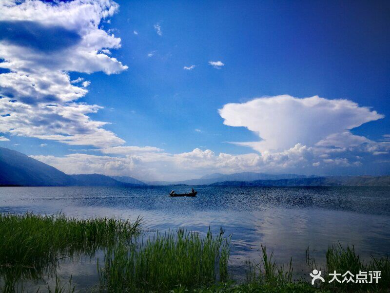洱海月湿地公园图片 - 第183张
