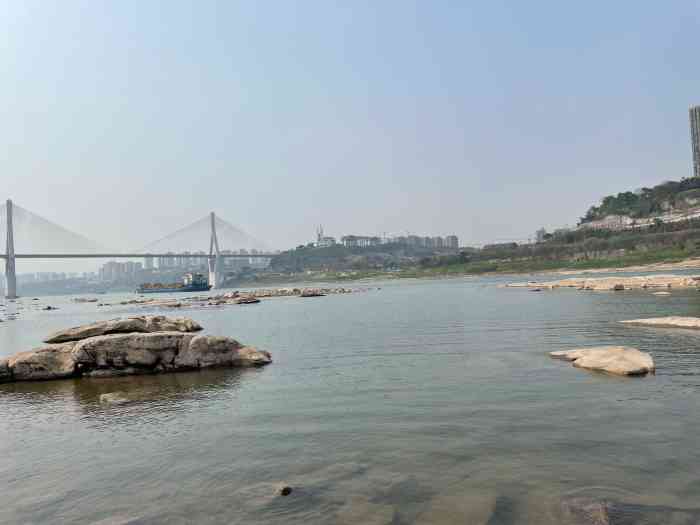 巴滨路湿地公园-"吃完饭来附近的巴滨路溜达溜达…….