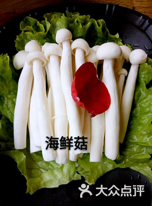 牛村来人潮汕鲜牛肉火锅(西单店)海鲜菇图片 - 第19张