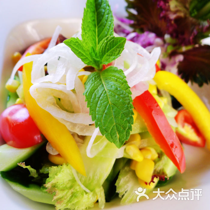 田园沙拉 garden salad