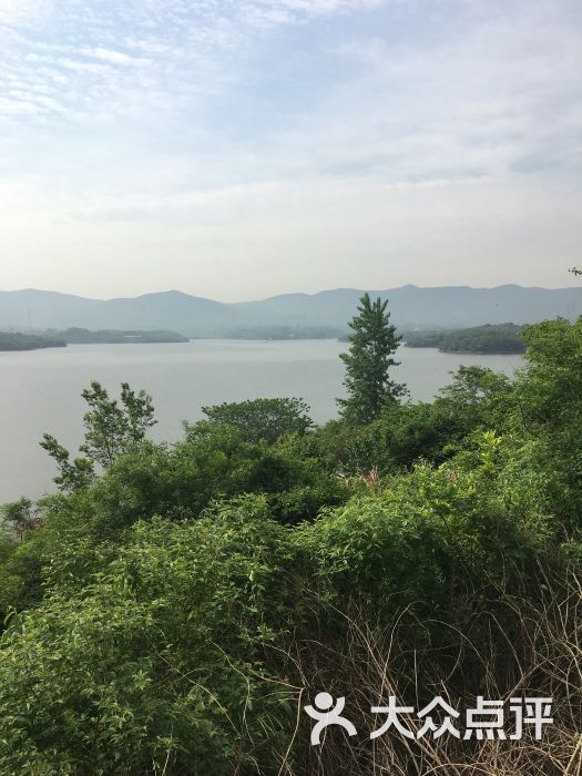 蟠龙湖山水度假酒店-图片-南京酒店-大众点评网