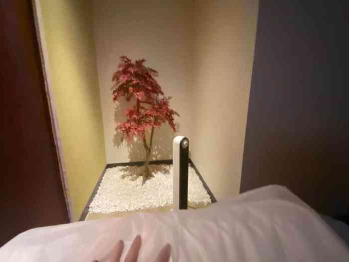 印象·江南 影院足道 spa(福民店)-"为了迎接假期 出了一个两人拼团