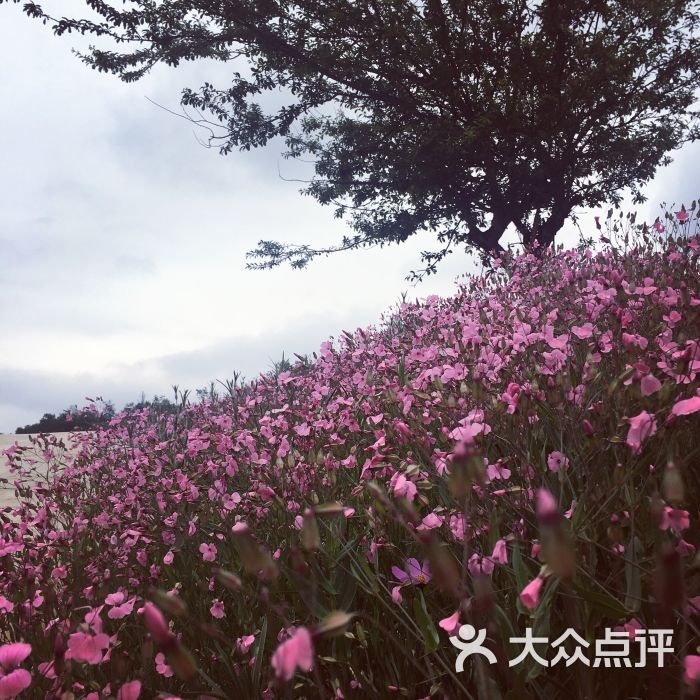 名花谷生态庄园-图片-昆明周边游-大众点评网
