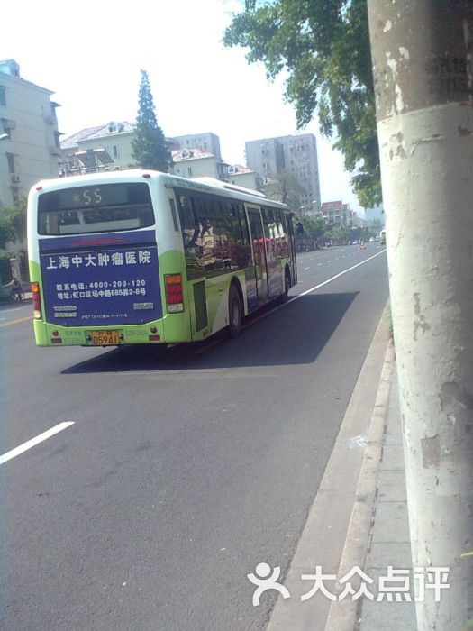 公交车(55路)-沪BD5941 S2M-050A图片-上海