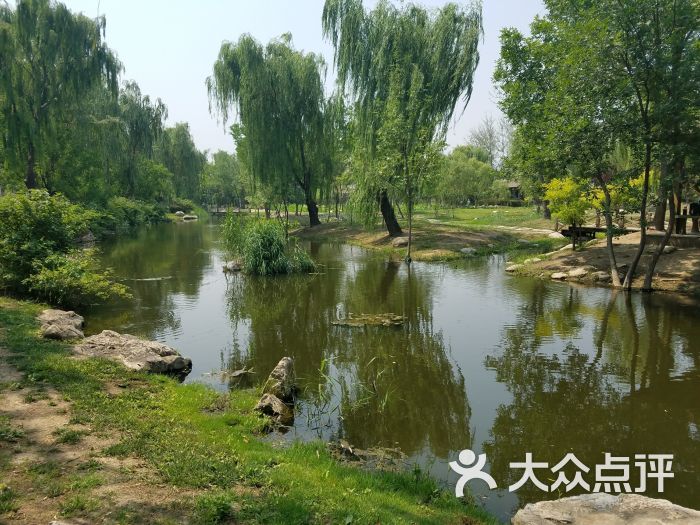 西沽公园图片 - 第5张