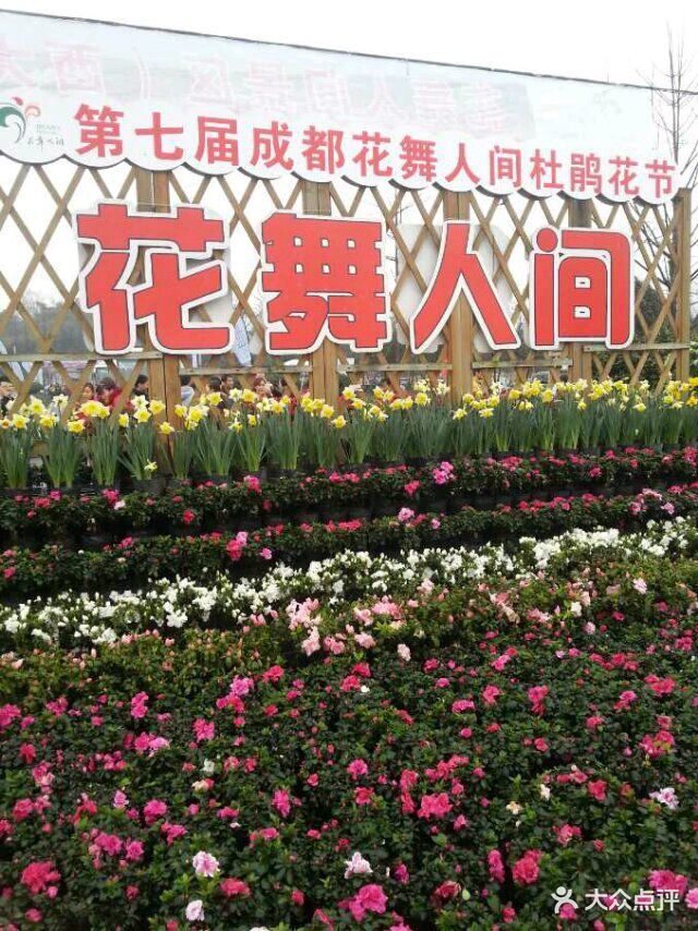 花舞人间-其他图片-新津县周边游-大众点评网