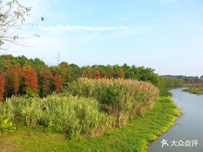 东莞生态园-图片-茶山镇生活服务-大众点评网