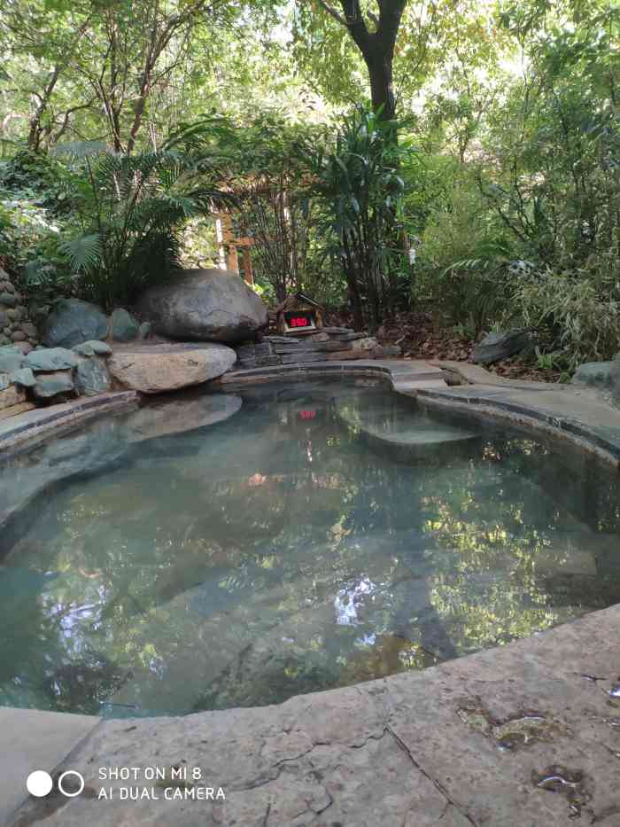 明熙森林温泉-"26个天然硫磺温泉泡池散落如颗颗宝石斑.