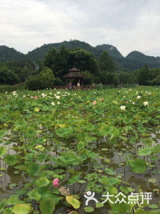 花溪十里河滩湿地公园图片 - 第2张