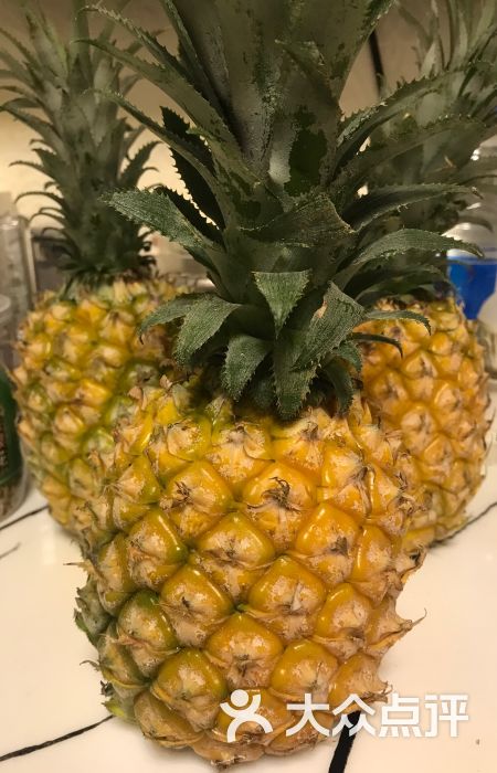 靠谱水果批发行