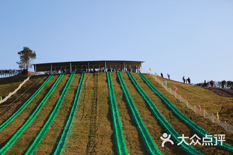 飞鸿滑草场图片 - 第79张