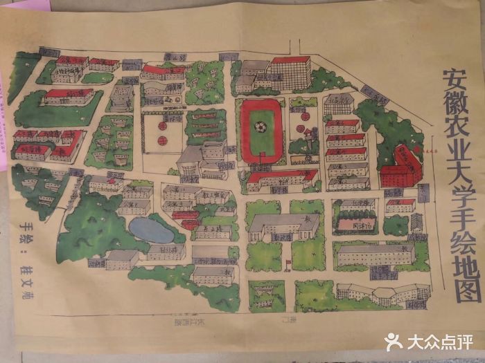 安徽农业大学图片