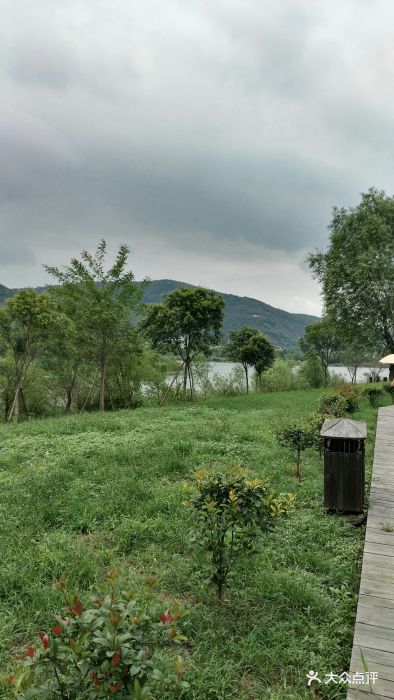 熏衣草园刚开的时候去过一次那会门票是20现