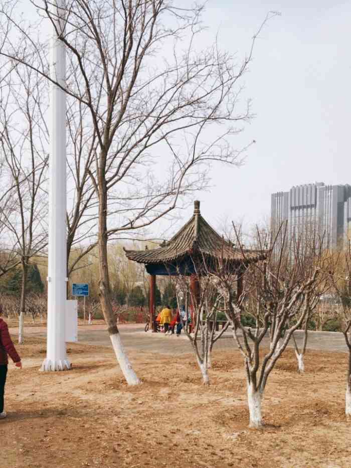 西会公园-"公园主要位于通惠河.北侧大体位置是管庄路.