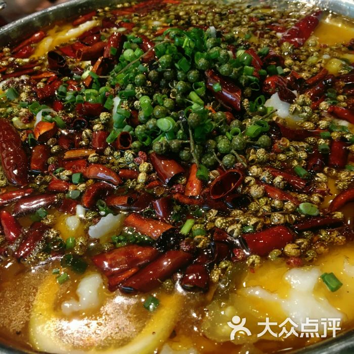 赵肥肠(王府井店)-青花椒肥肠鱼图片-南充美食-大众