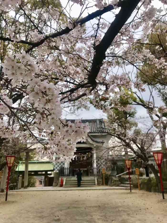 高津神社-"酒店附近顺路来逛逛,其实是被公园里的秋千.