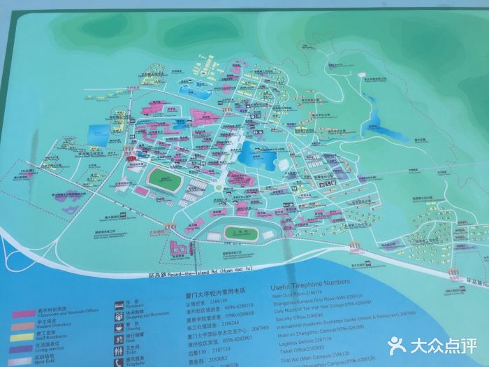 厦门大学(思明校区)图片 第9765张