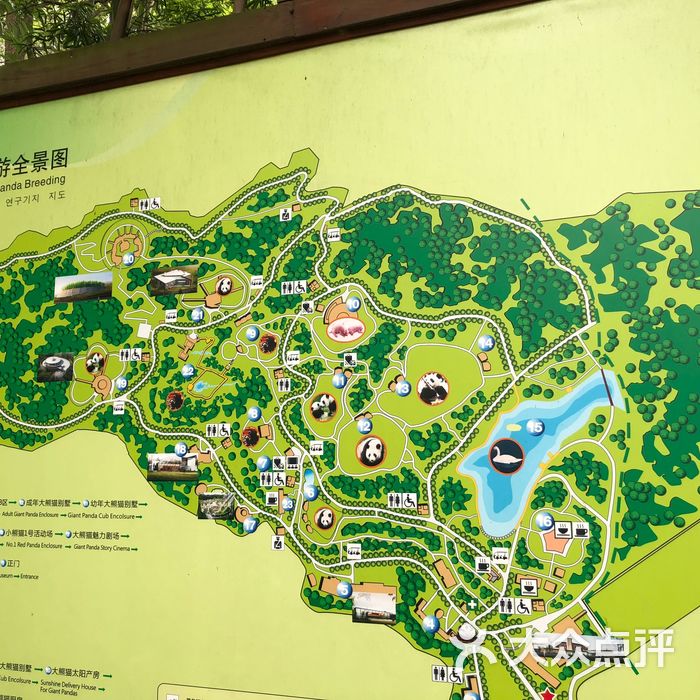 大熊猫繁育研究基地