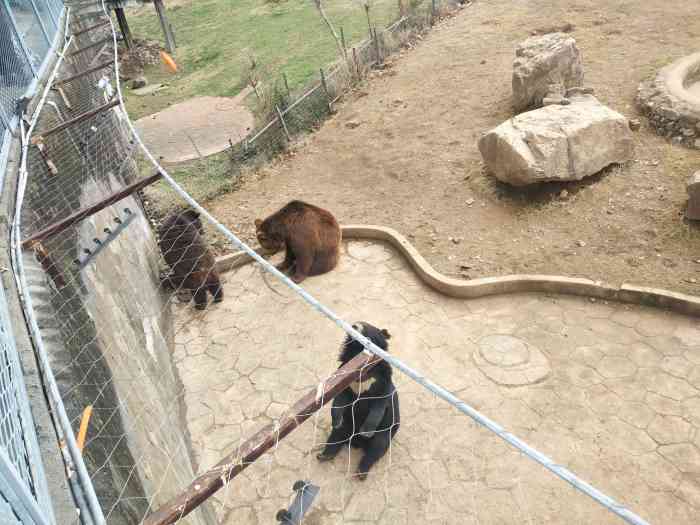 无锡动物园·太湖欢乐园