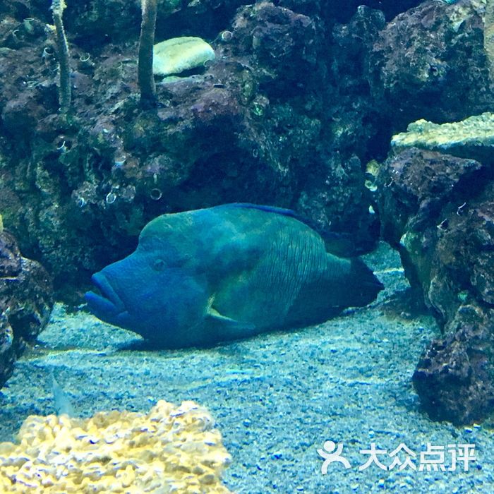 西雅图水族馆