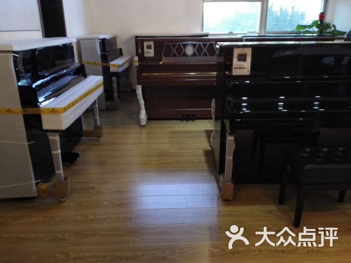 巴托克琴行音乐培训中心-图片-天津学习培训-大众点评网