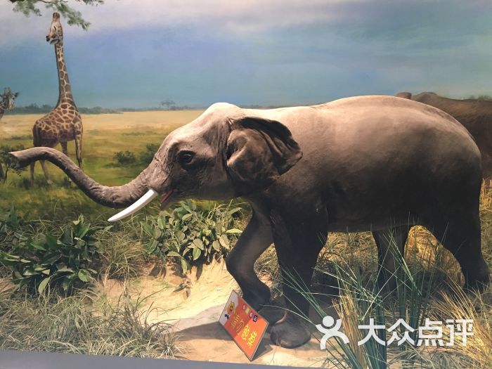 上方山森林动物世界图片 - 第337张