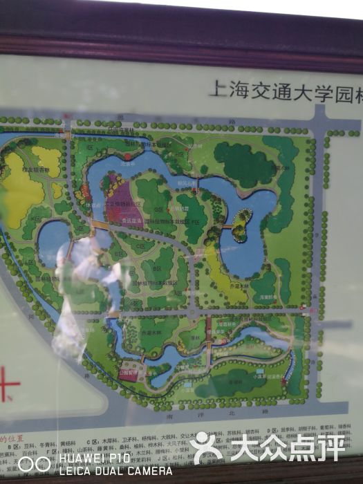 上海辰山植物园花境_手绘