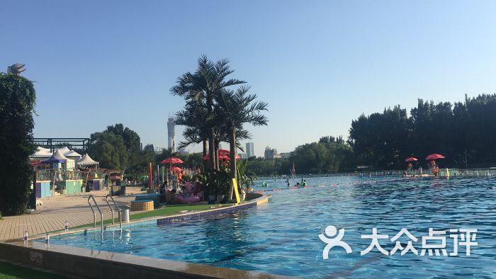 朝阳公园沙滩浴场-图片-北京运动健身-大众点评网