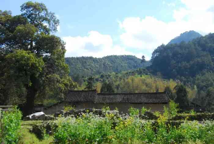 徐岙底古村落-"泰顺县筱村镇坳头村前山自然村的筱村