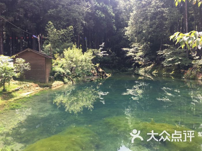 阿里山国家风景区-图片-阿里山景点玩乐-大众点评网