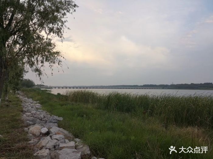 潮白河湿地公园-图片-宝坻区周边游-大众点评网