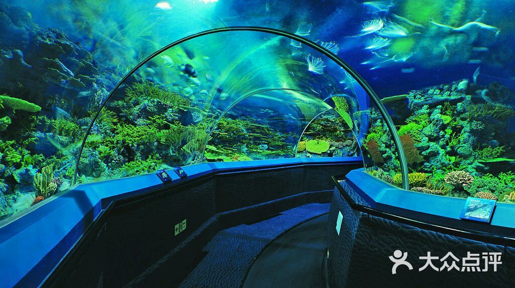 上海海洋水族馆图片 - 第2张