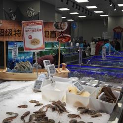 高广场】电话_地址_价格_营业时间_松江区综