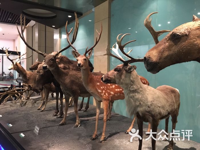 国家动物博物馆图片 - 第1052张